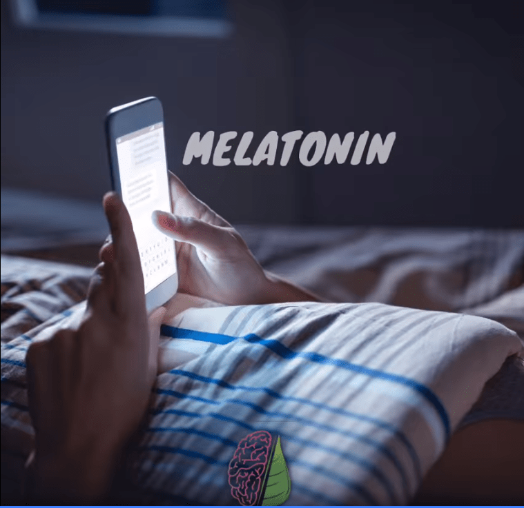 Cirkadijalni ritam i Melatonin