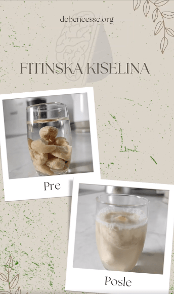 Fitinska kiselina